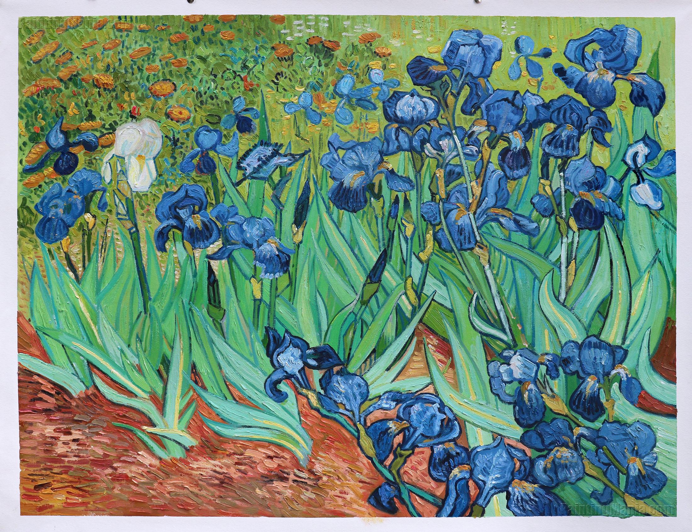 Irises (Getty) - Vincent van Gogh Paintings