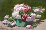 Roses in a Bucket