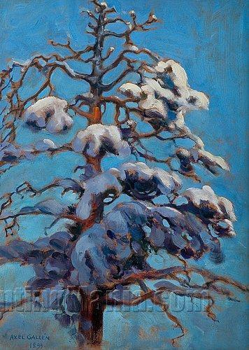 Snowy Pine - Tree