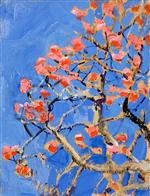 Coral Tree in Blossom