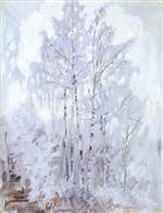Frosty Birch Trees