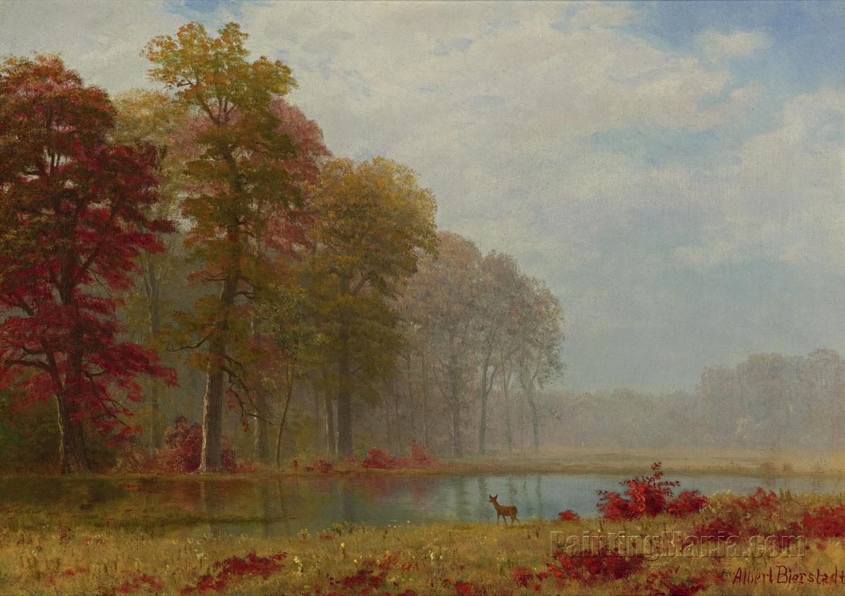 Autumn on the River