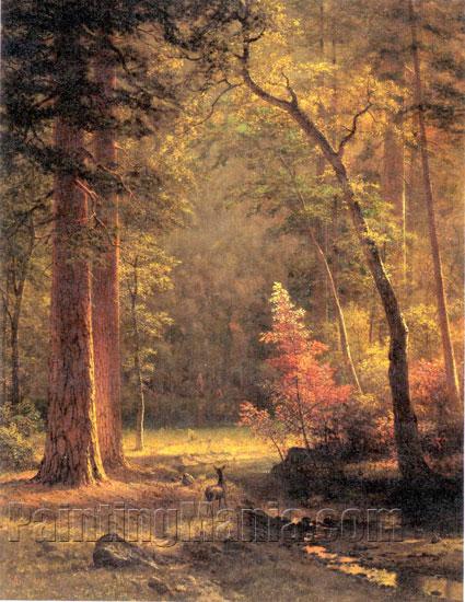 Dogwood (Autumn Woodland)