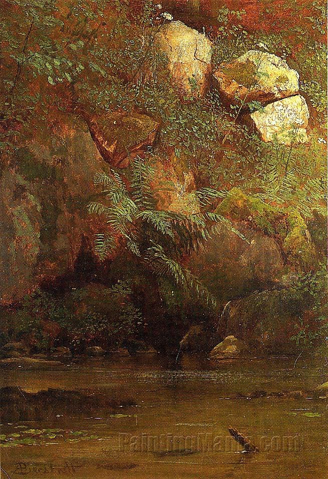 Ferns and Rocks on an Embankment