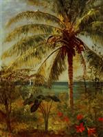 Palm Tree, Nassau