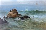 Seal Rocks off Pacific Coast. California