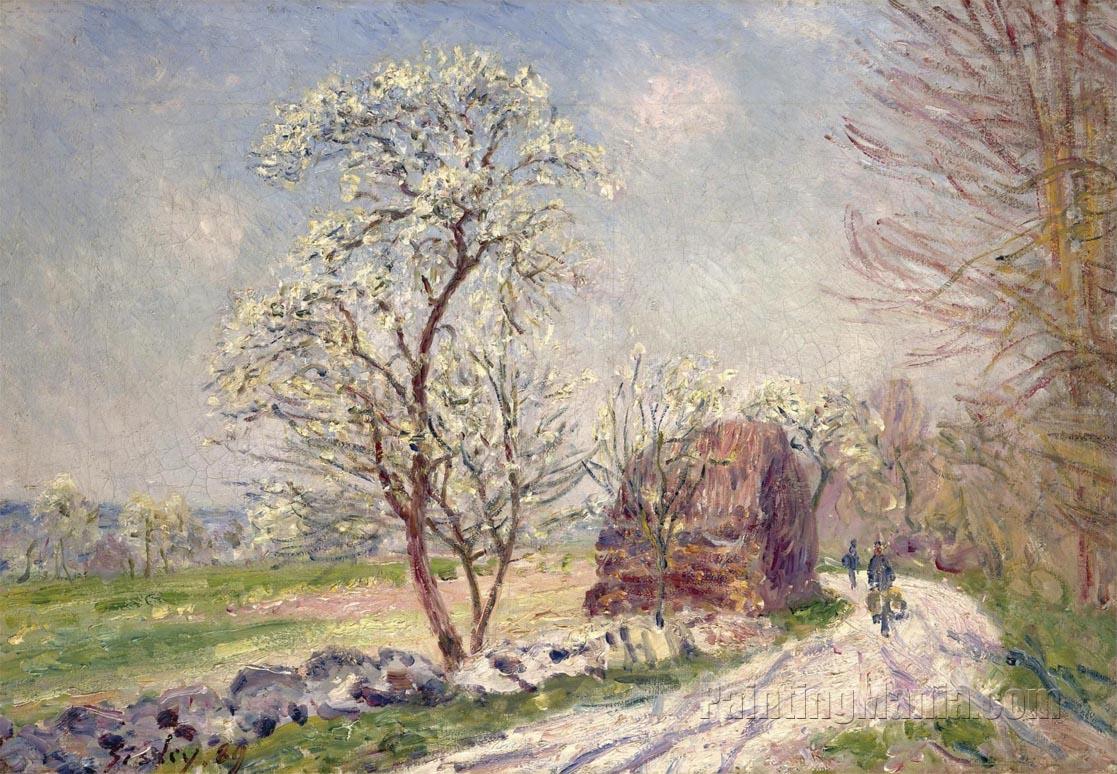 Along the Woods in Spring