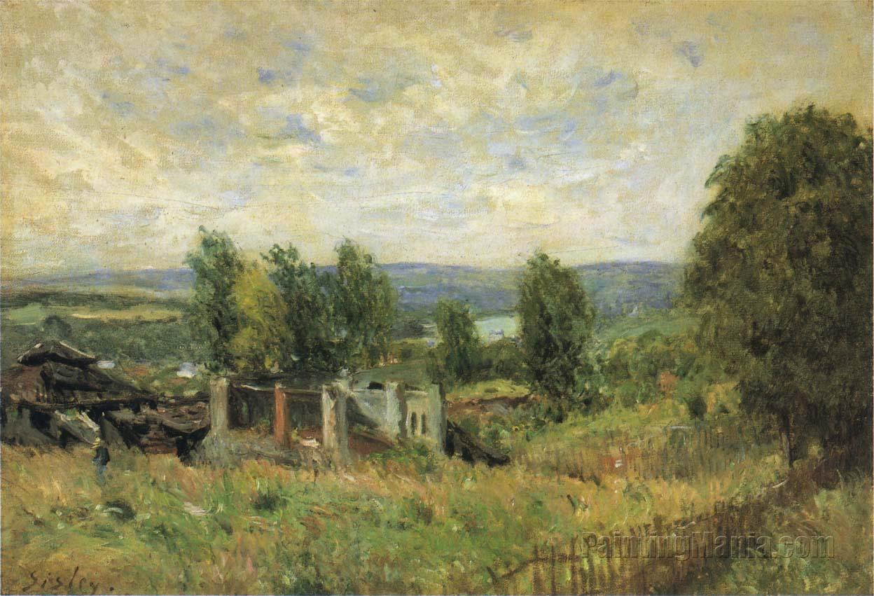 Landscape in Summer