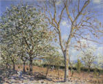 Plum and Walnut Trees in Spring