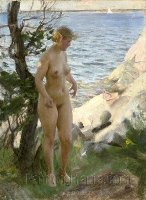 Naken pa strand (Nude at the Beach)