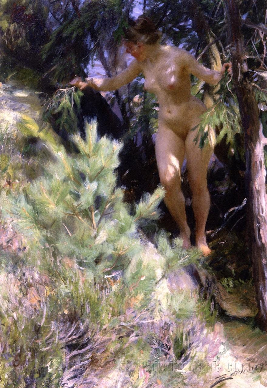Nude under a Spruce Tree