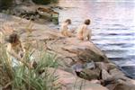 Girls Bathing in the Open Air (Out of Doors)