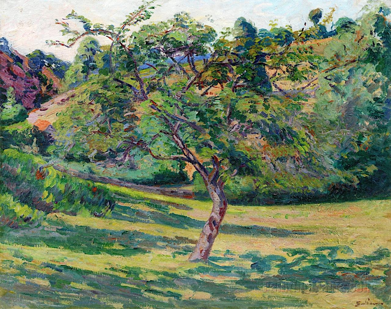 Landscape at Creuse with Tree