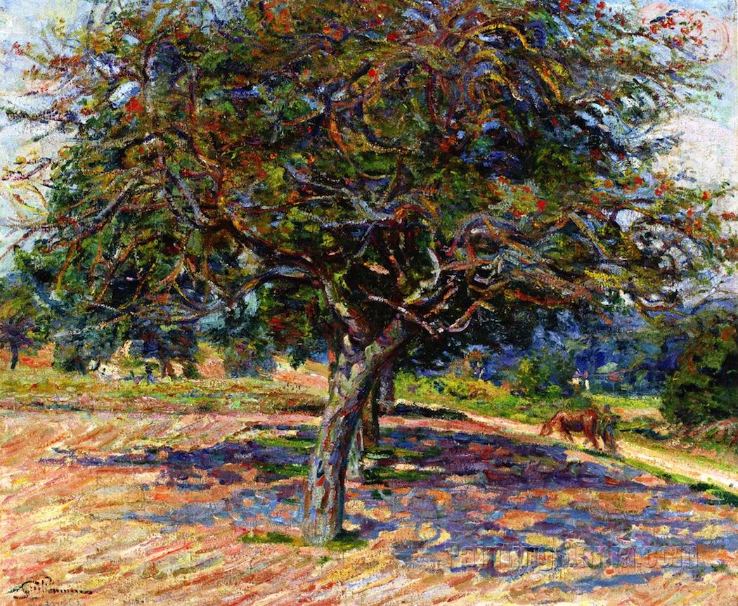 Trees at Ile-de-France