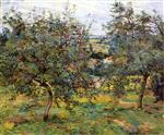 Orchards in Ile-de-France