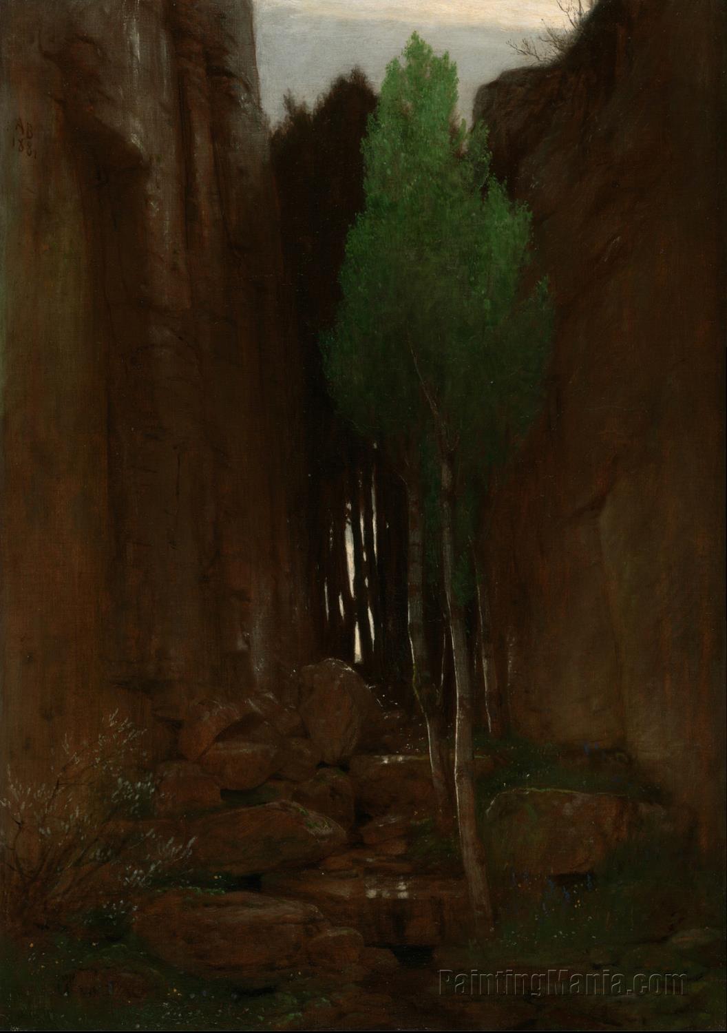 Spring in a Narrow Gorge