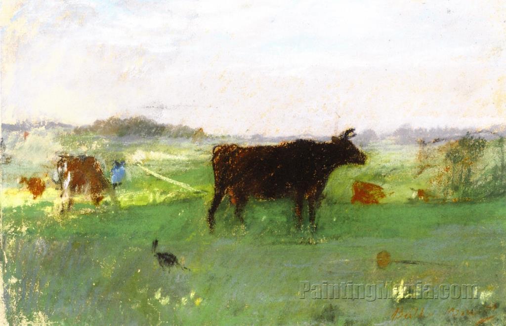 Cows in Normandy