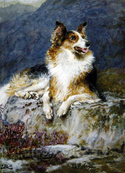 Collie in a landscape