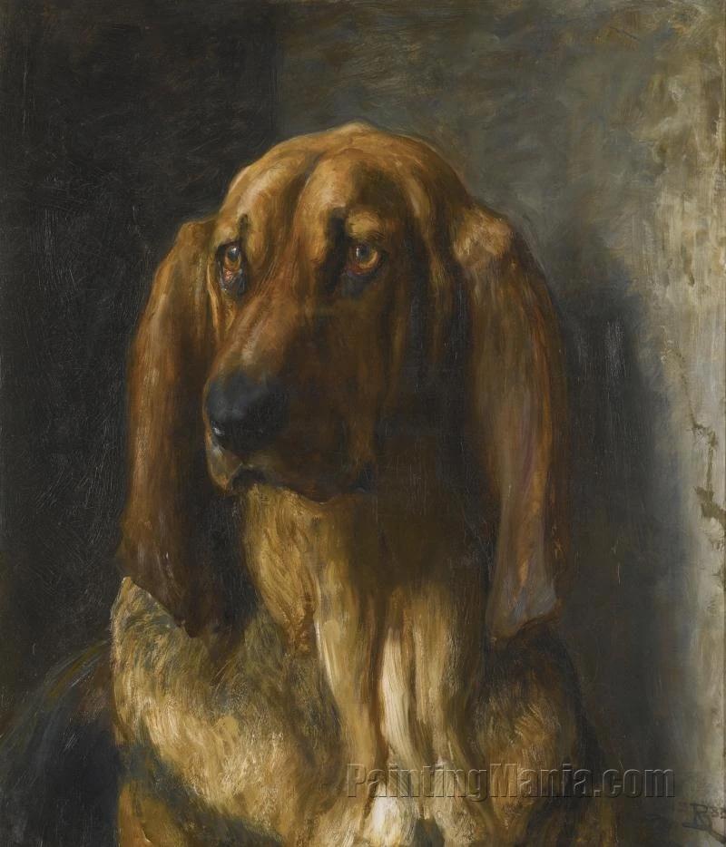 Sir Lancelot, A Bloodhound
