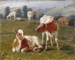 Calves in a Meadow