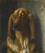 Sir Lancelot, A Bloodhound
