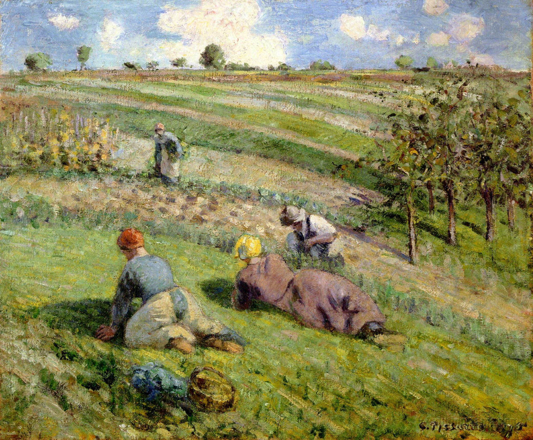 Cultivators in the Fields, Pontoise (The Hills of Auvers)