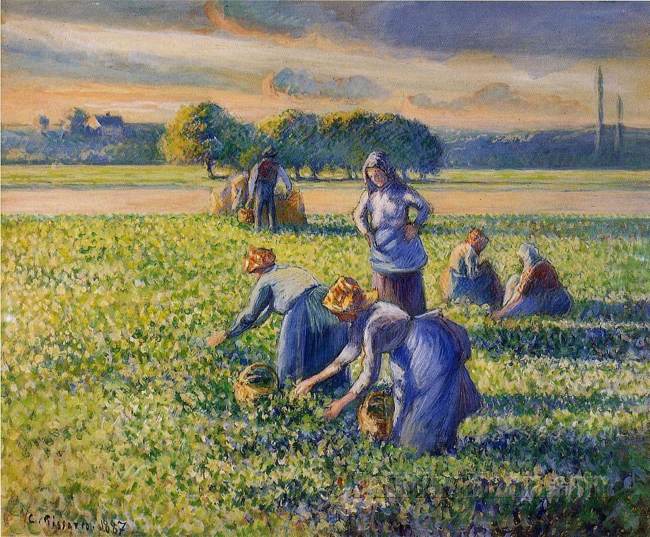 Picking Peas 1887