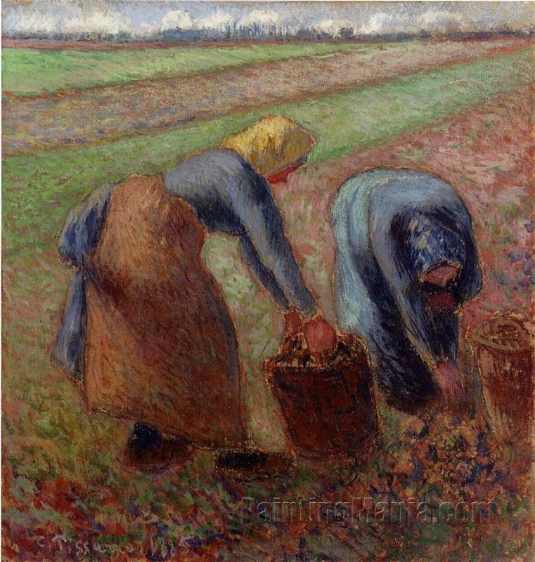 Potato Harvest 1885