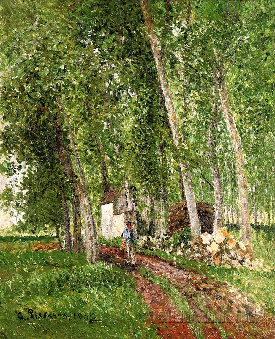 In the Woods at Moret