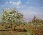 Orchard in Blossom. Louveciennes