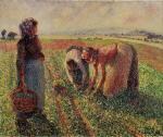 Picking Peas 1893