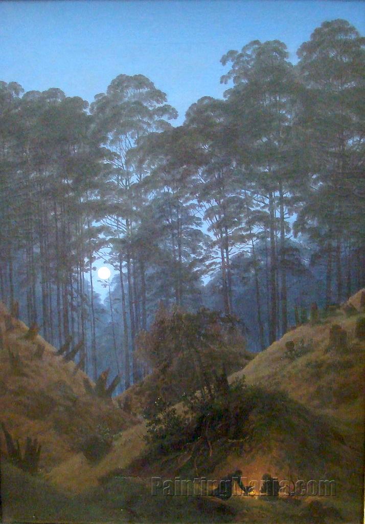 Forest Interior in the Moonlight