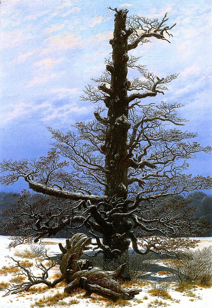 Oaktree in the Snow