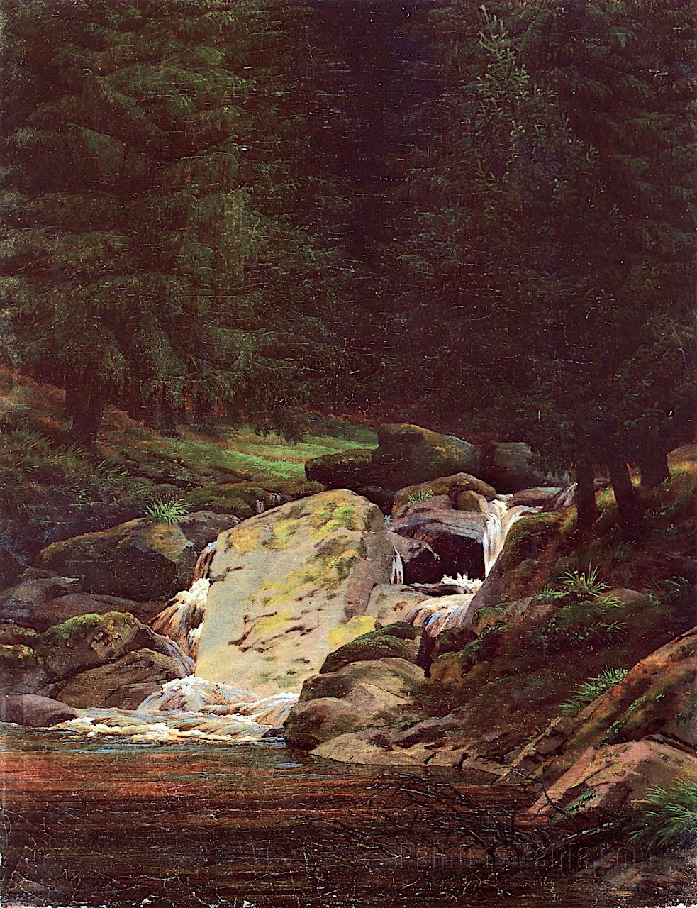 Pine Forest with Waterfall