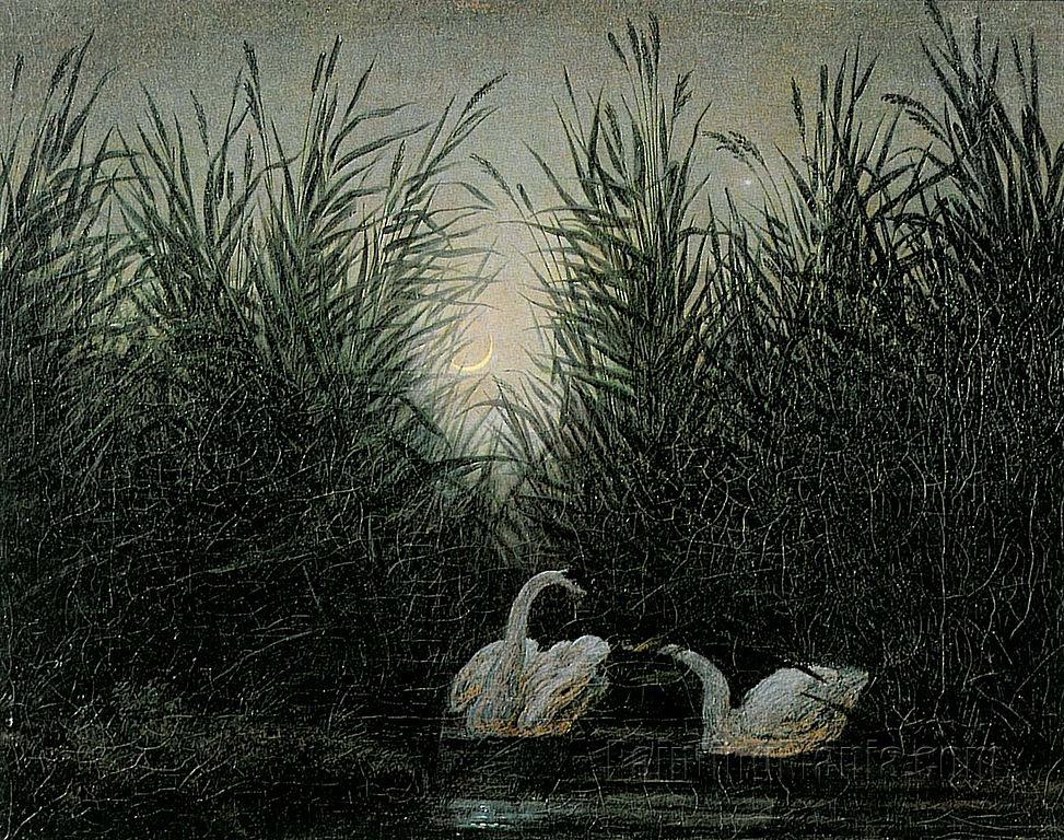 Swans in the Reeds at First Dawn