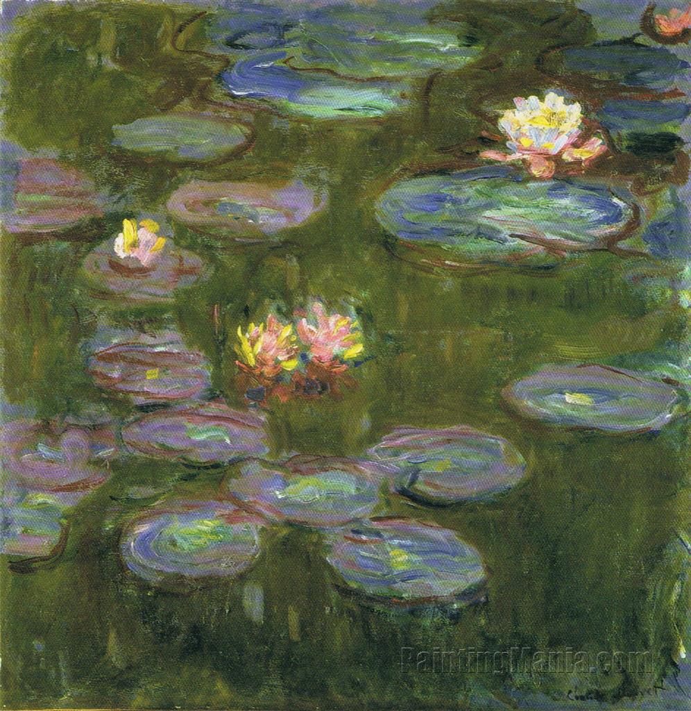 Water Lilies 11