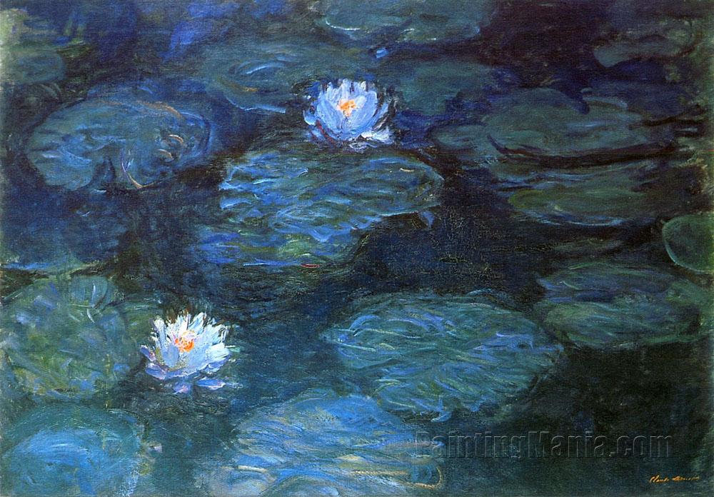 Water Lilies 14