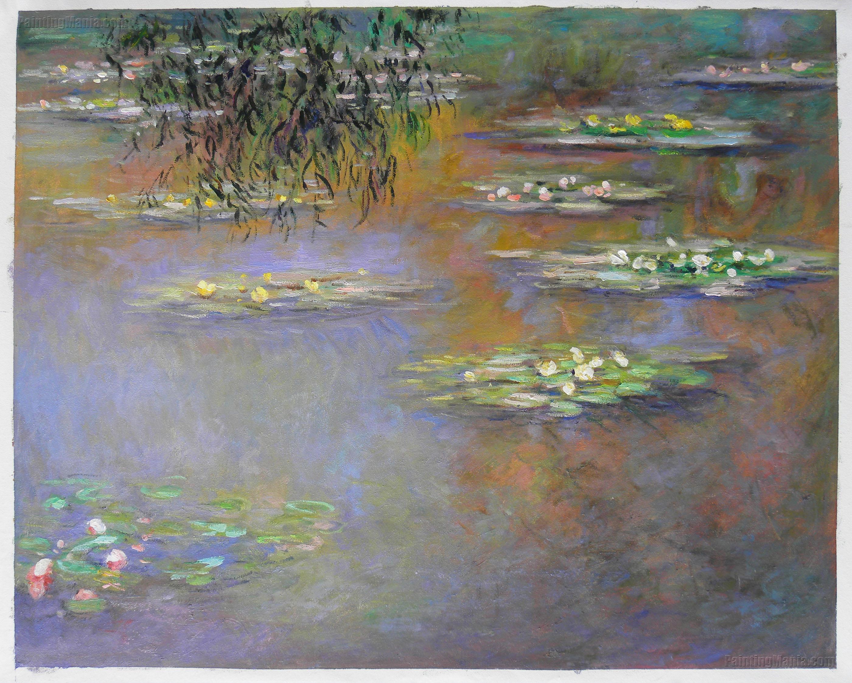 Water Lilies 1903