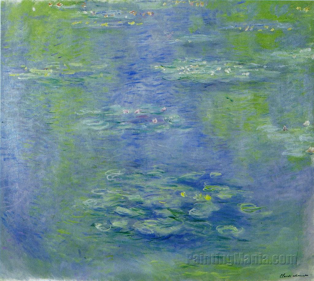 Water Lilies 47