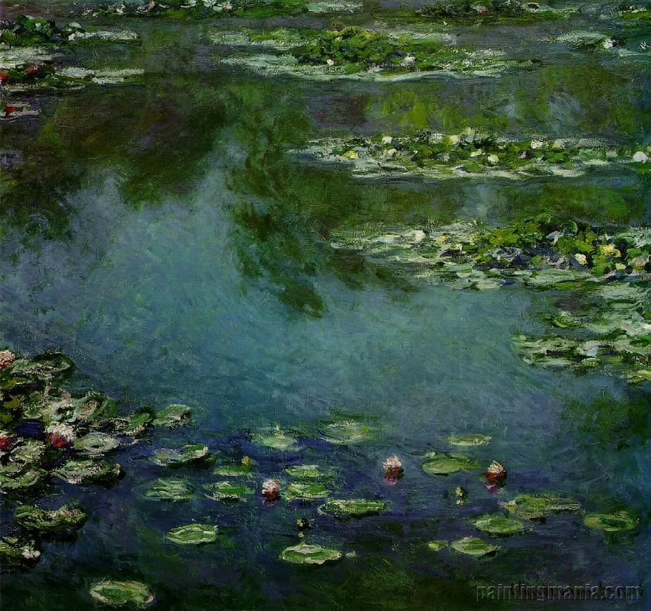 Water Lilies 73