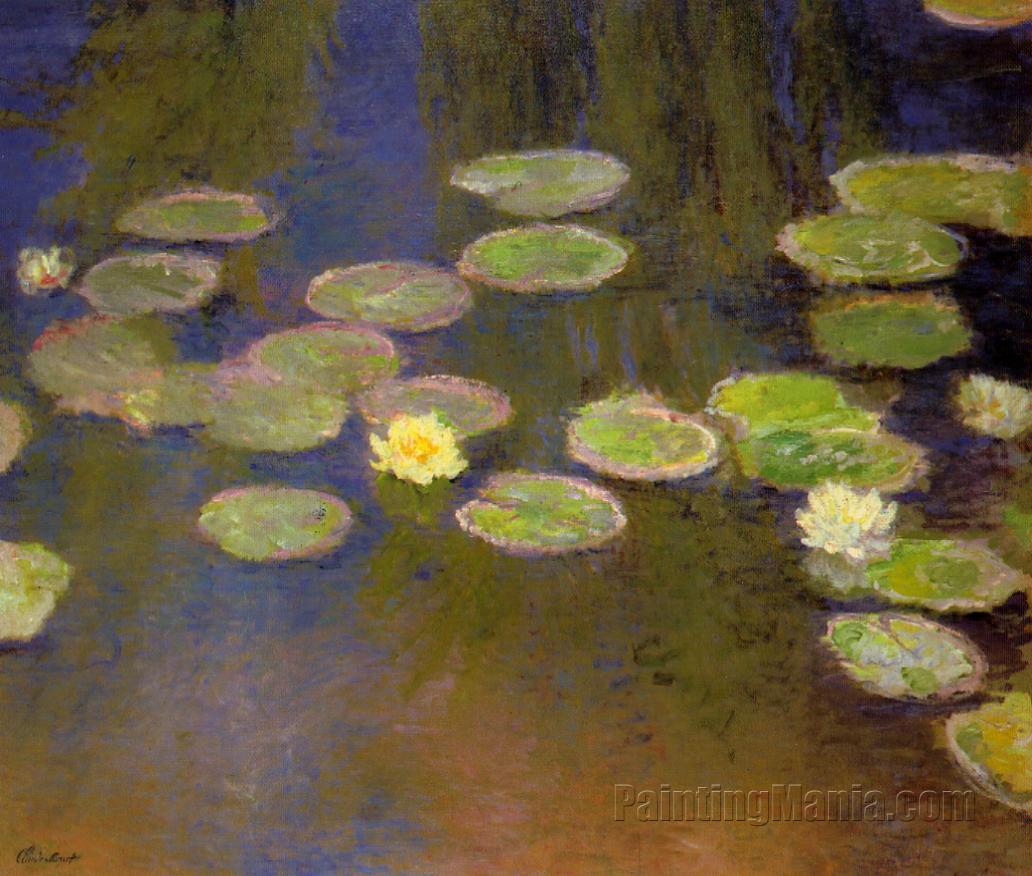 Water Lilies 85