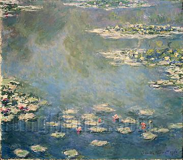 Water Lilies 9