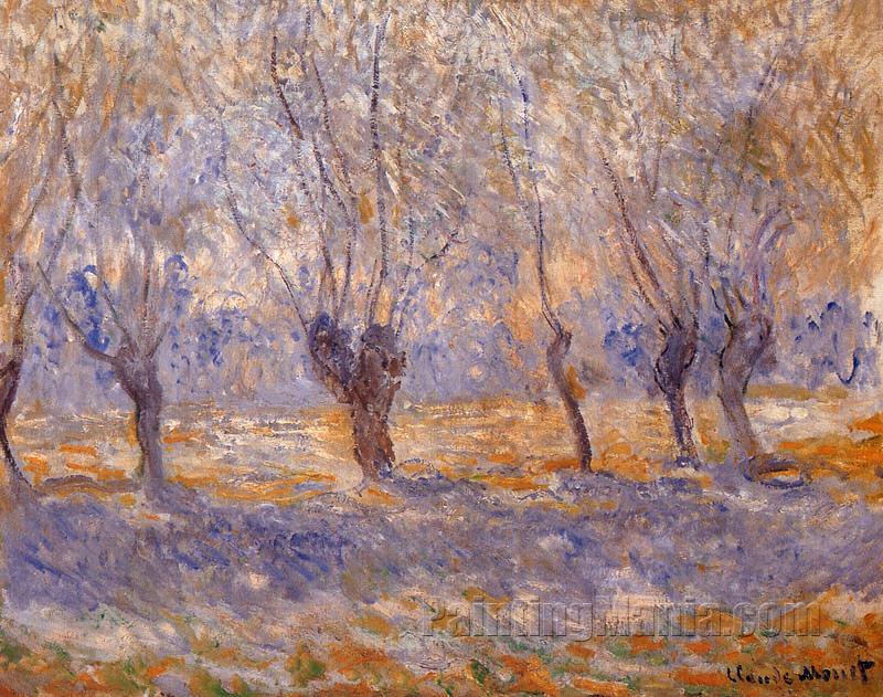 Willows, Giverny