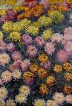Bed of Chrysanthemums