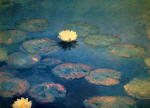 Water Lilies 12