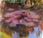 Water Lilies 23