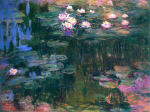 Water Lilies 26