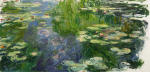 Water Lilies 31