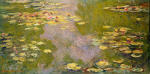 Water Lilies 38