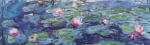 Water Lilies 49